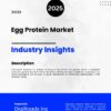 Market Report