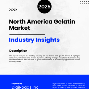 Market Report