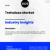 Market Report